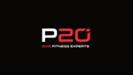  P20