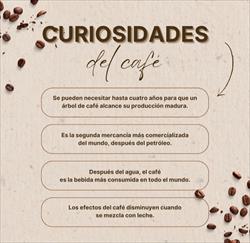 Loops and Coffee desvela algumas curiosidades sobre o café