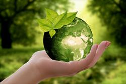 Junte-se a um Negócio 100% Ecológico!