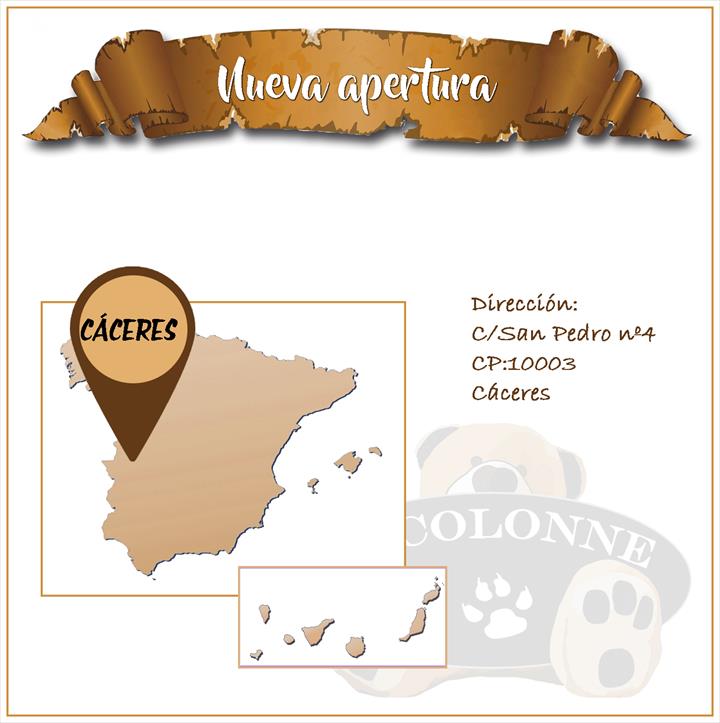 MAIS UMA NOVA ASSINATURA NA COCOLONNE!