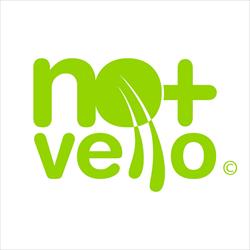 SEIS BONS MOTIVOS PARA SER FRANCHISADO DA NOMASVELLO