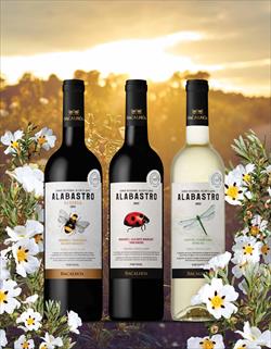 VINHOS ALABASTRO CONQUISTAM CERTIFICAÇÃO DE PRODUÇÃO SUSTENTÁVEL